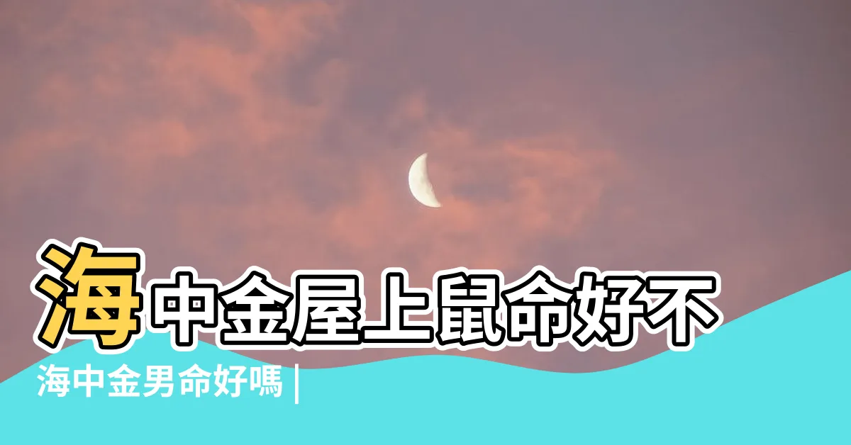 【海中金命屋上之鼠】海中金屋上鼠命好不海中金男命好嗎 |84年屬鼠人有新 |命中定數 |