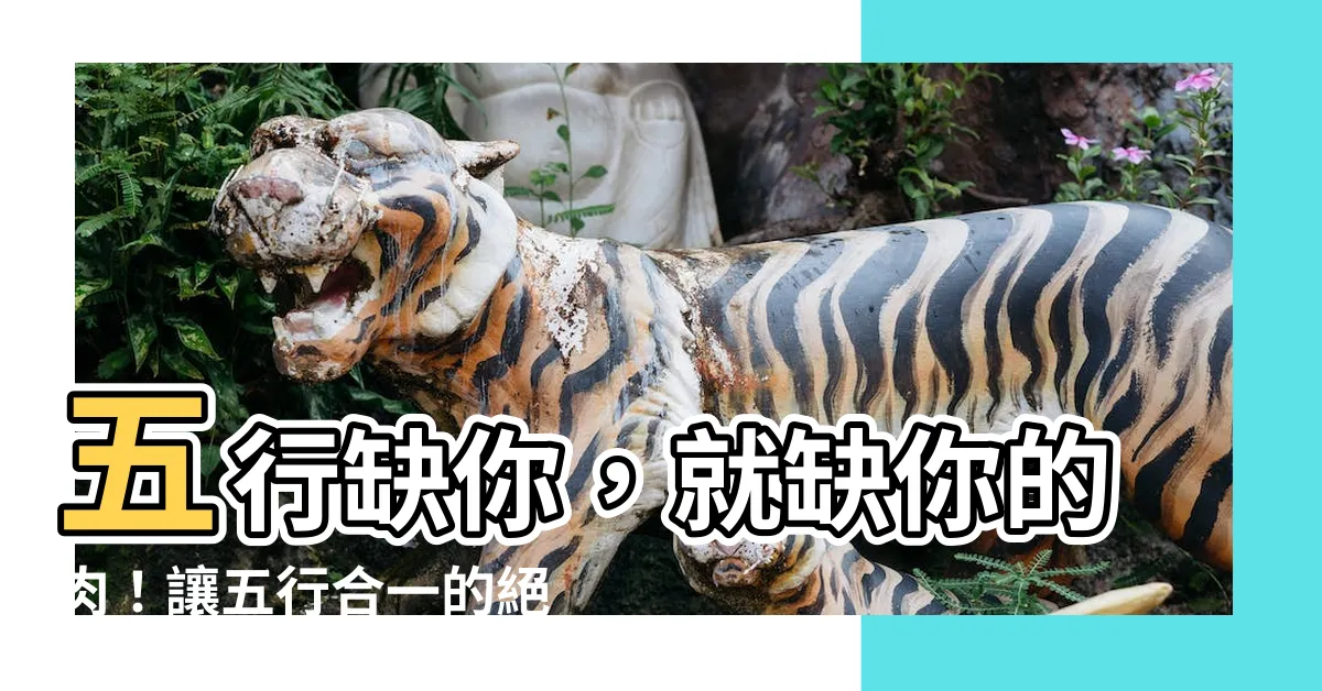 【我五行缺你 肉】五行缺你，就缺你的肉！讓五行合一的絕妙料理滿足你！
