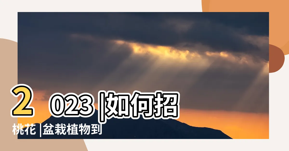 【招桃花】2023 |如何招桃花 |盆栽植物到 |