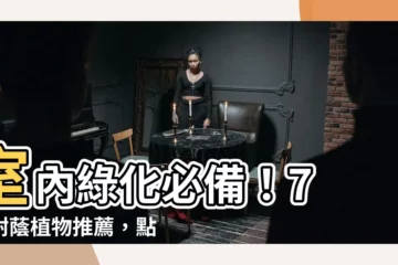 【耐蔭植物】室內綠化必備！7 種耐蔭植物推薦，點亮無陽角落