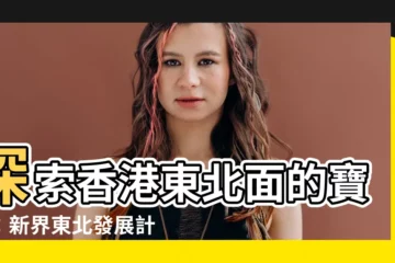 【香港東北面地區】探索香港東北面的寶藏：新界東北發展計劃及香港十八區！