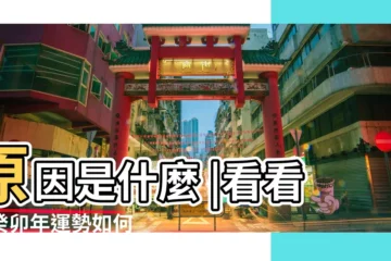【雞年有什麼講究説雞年生寶寶不好】原因是什麼 |看看你癸卯年運勢如何 |2023年屬雞和屬雞人懷寶寶好不好兔寶寶人生發展受限怎麼辦 |