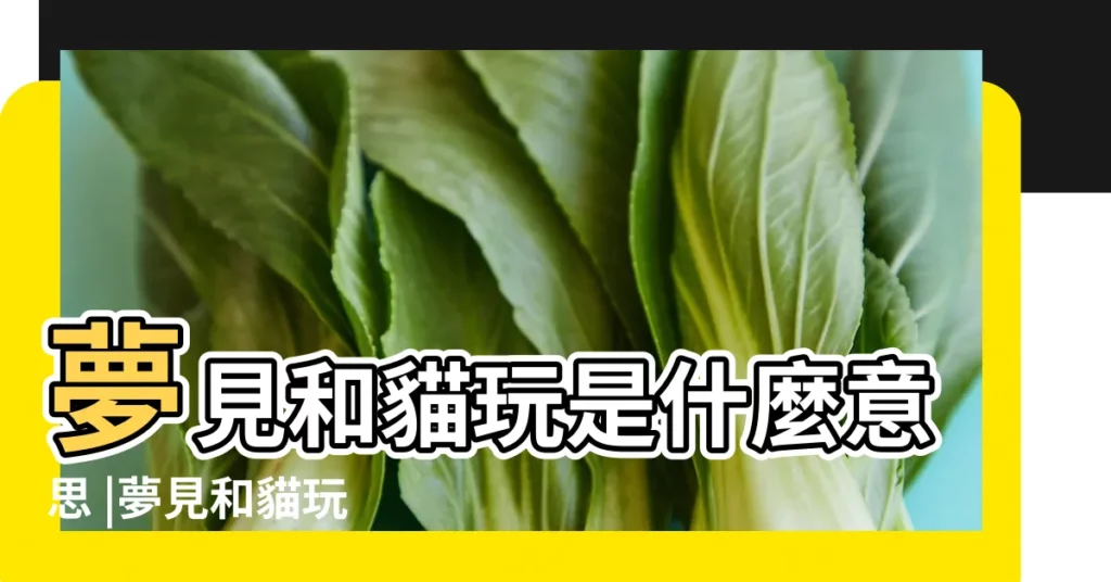 夢見和貓玩是什麼意思 |夢見和貓玩 |夢見和貓玩是什麼意思 |【做夢夢見和好多貓玩】