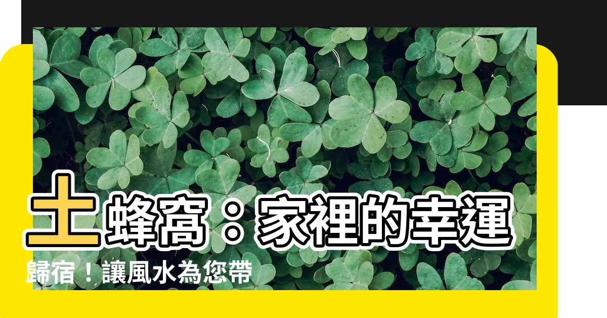 【土蜂窩家裡】土蜂窩：家裡的幸運歸宿！讓風水為您帶來好運