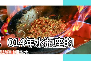 【2014水瓶座愛情劫】2014年水瓶座的愛情劫運 |細説水瓶座2014年的愛情劫運 |2014年12星座的愛情劫運與轉折點 |
