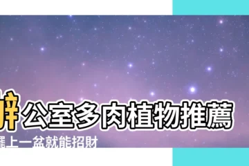 【辦公室多肉推薦】辦公室多肉植物推薦！擺上一盆就能招財又舒壓