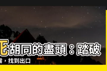 【死衚衕 意思】死衚衕的盡頭：踏破迷霧，找到出口