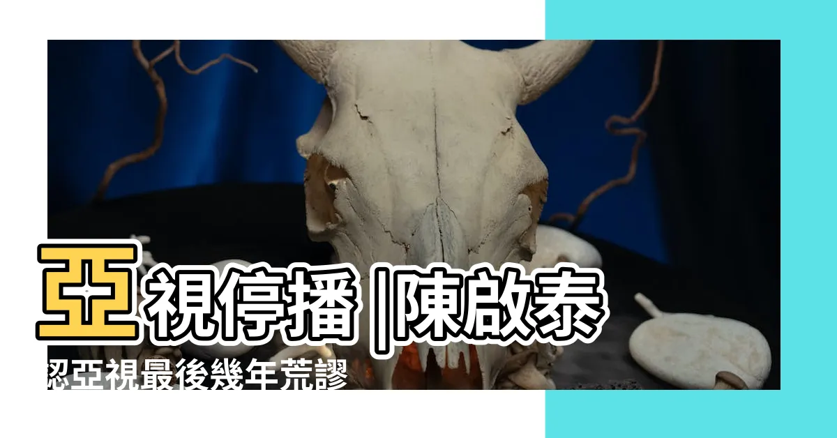 【扔壽包】亞視停播 |陳啟泰認亞視最後幾年荒謬劉錫賢談扔壽包事件 |爆笑回帶 |