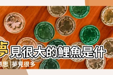 【夢到很多很多的大鯉魚】夢見很大的鯉魚是什麼意思 |夢見很多鯉魚 |夢到很多很大的一池錦鯉有什麼含義 |