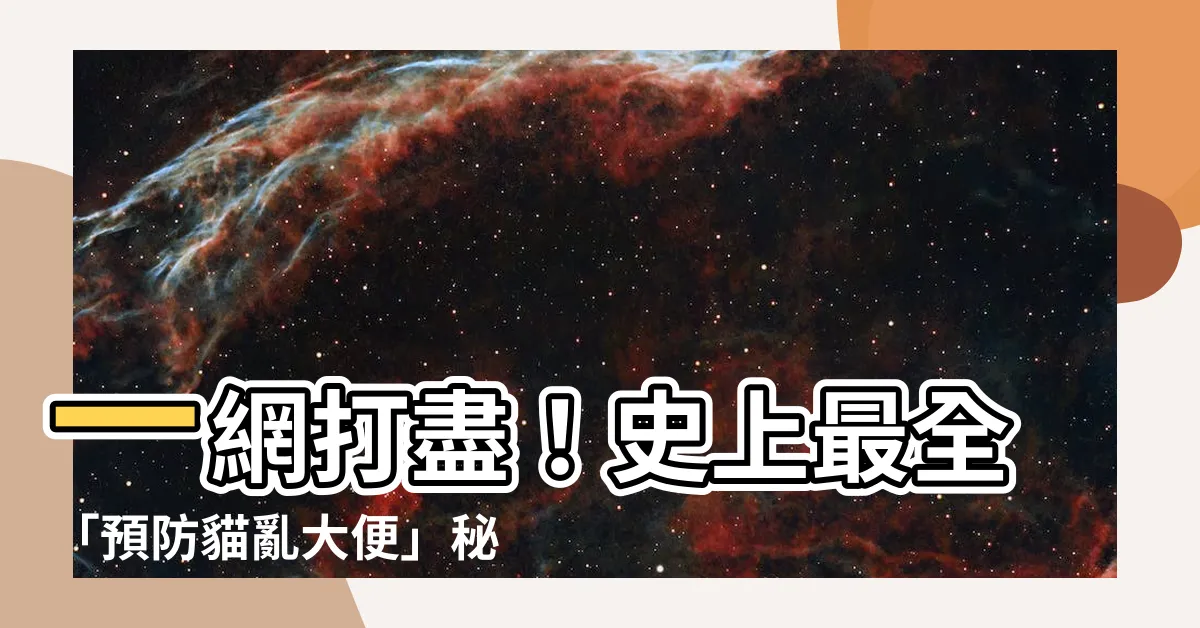 【如何防止貓亂大便】一網打盡！史上最全「預防貓亂大便」秘笈