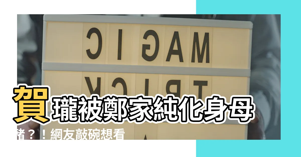 【賀龍 母豬】賀瓏被鄭家純化身母豬？！網友敲碗想看！