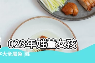 【姓董的女孩高分名字】2023年姓董女孩名字大全屬兔 |姓董的女孩名字大全 |董姓女孩起名大全 |