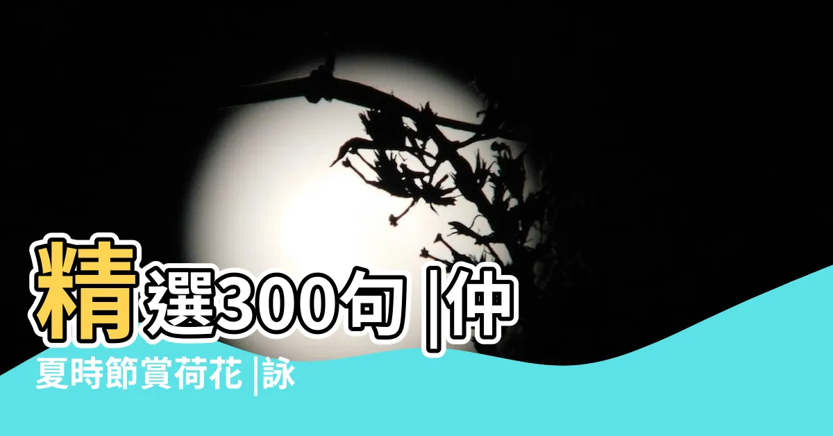 【詠荷花詩詞】精選300句 |仲夏時節賞荷花 |詠荷花的經典詩句 |