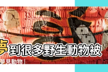 【夢見媽媽殺野生動物】夢到很多野生動物被殺 |夢見動物 |野生動物 |