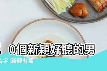 【新穎好聽的男孩名字】20個新穎好聽的男孩名字 |新穎有寓意的小孩起名大全男孩好聽的男孩名字 |幫您拓展取名的思路 |