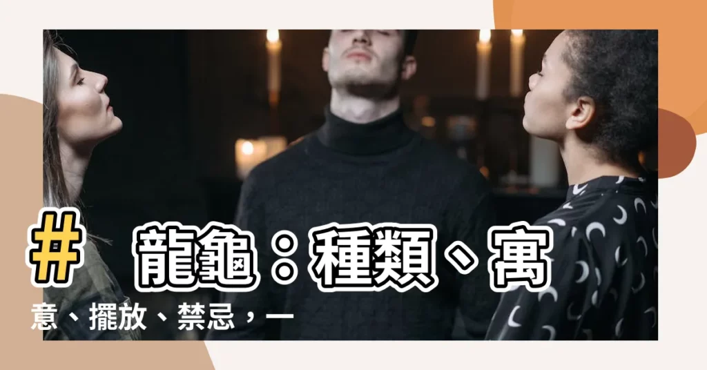 【龍龜種類】# 龍龜：種類、寓意、擺放、禁忌，一次搞懂！