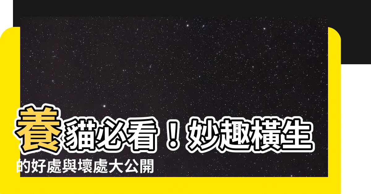 【養貓的好處與壞處】養貓必看！妙趣橫生的好處與壞處大公開！