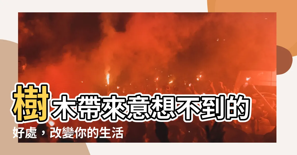 【樹木對人類的好處】樹木帶來意想不到的好處，改變你的生活方式！