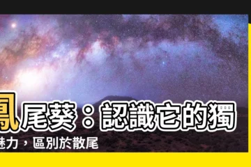 【鳳尾葵】鳳尾葵：認識它的獨特魅力，區別於散尾葵的關鍵秘訣！