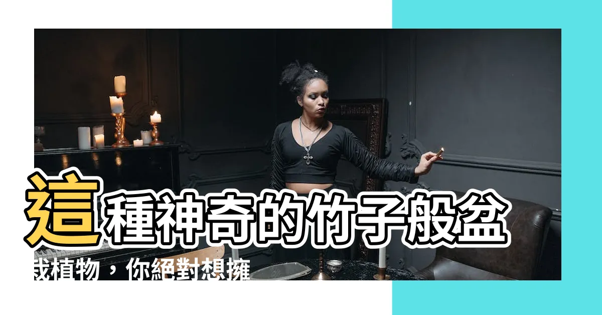 【像竹子的盆栽】這種神奇的竹子般盆栽植物，你絕對想擁有一個！