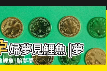 【懷孕夢見錦鯉魚】孕婦夢見鯉魚 |夢見錦鯉魚 |胎夢夢見錦鯉預示什麼 |