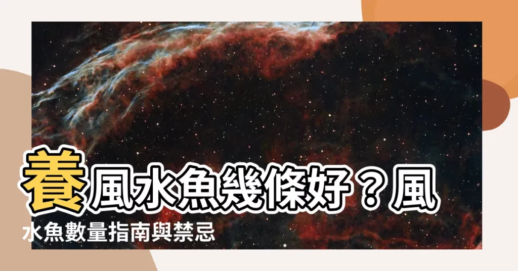 【風水魚養幾條好】養風水魚幾條好？風水魚數量指南與禁忌一次看