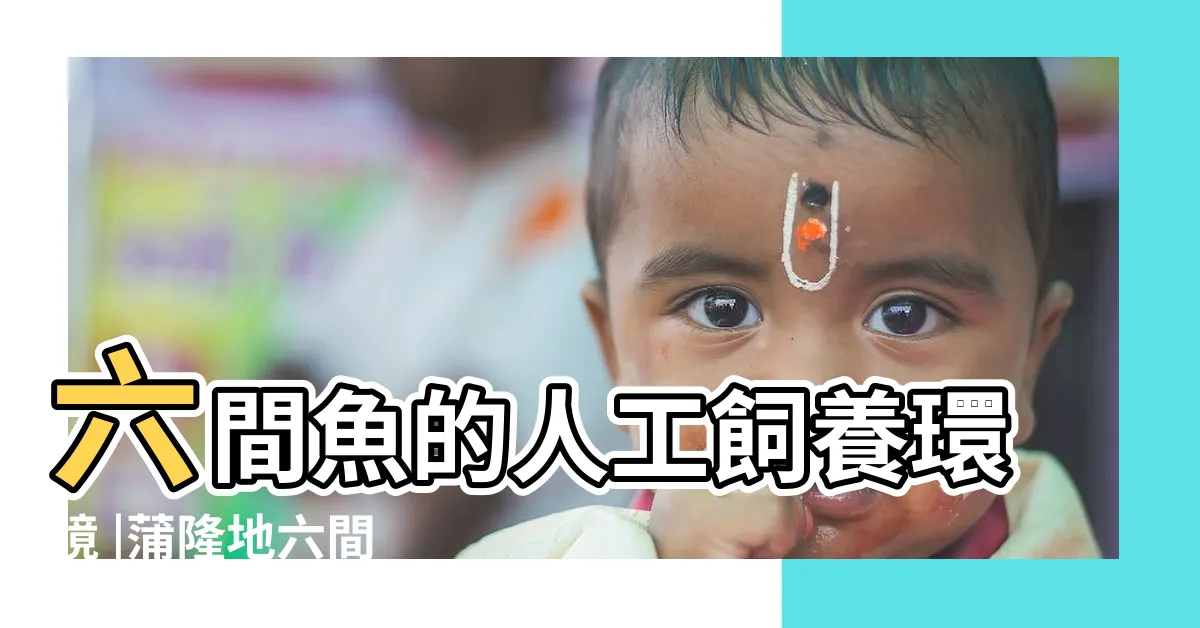 【皇冠六間壽命】六間魚的人工飼養環境 |蒲隆地六間 |一組3隻 |