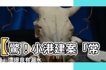 【常景錄漏水】【驚！小港建案「常景錄」遭曝竟有漏水問題】