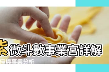 【免費八字算事業】紫微斗數事業宮詳解 |星座與事業分析 |免費生辰八字算事業 |