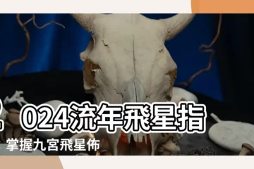 【2024流年飛星】2024流年飛星指南：掌握九宮飛星佈局，趨吉避兇