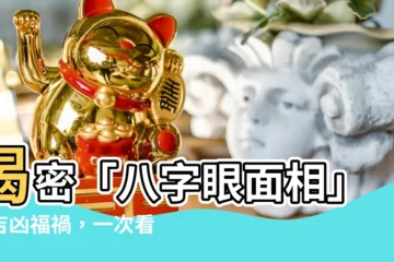 【八字眼面相】揭密「八字眼面相」：吉凶福禍，一次看懂！