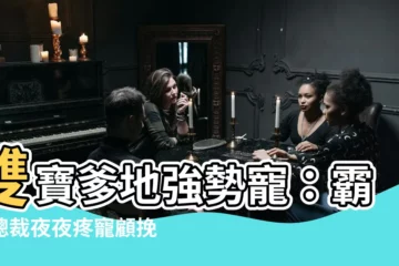 【雙寶爹地強勢寵顧挽情】雙寶爹地強勢寵：霸氣總裁夜夜疼寵顧挽情