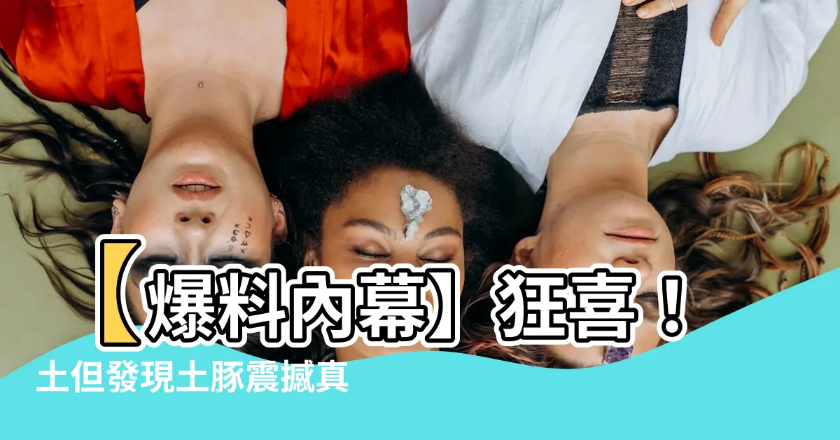 【土但】【爆料內幕】狂喜！土但發現土豚震撼真相，網友必點追蹤