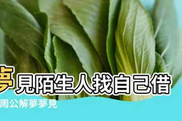 【孕婦夢見陌生人向自己借錢】夢見陌生人找自己借錢 |周公解夢夢見別人向我借錢是什麼意思 |孕婦夢見別人問我借錢 |