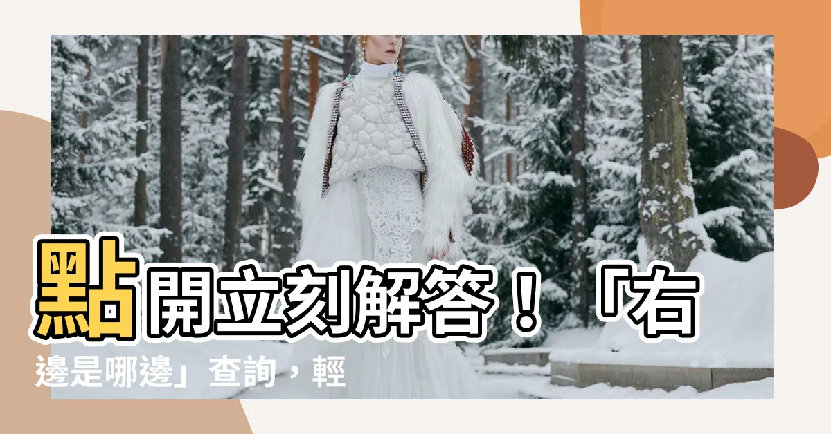 【右邊是哪邊】點開立刻解答！「右邊是哪邊」查詢，輕鬆瀏覽辭典