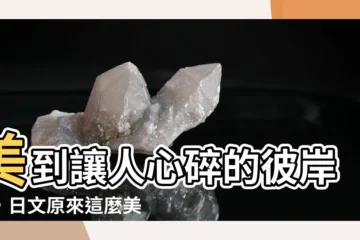【彼岸花 日文】美到讓人心碎的彼岸花，日文原來這麼美！