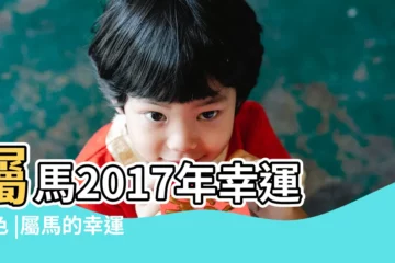 【屬馬的2017年的幸運方位】屬馬2017年幸運顏色 |屬馬的幸運方位在哪 |屬馬的財運在哪個方向 |
