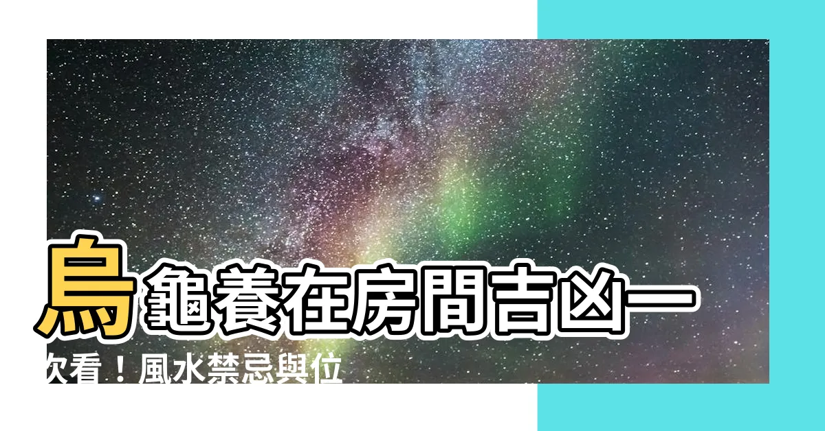 【烏龜養在房間】烏龜養在房間吉凶一次看！風水禁忌與位置圖瞭解