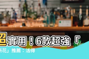 【廁所花】超實用！6款超強「廁所花」推薦：活得更好還能除濕除臭