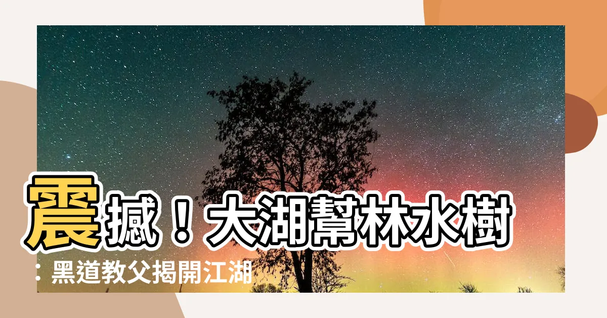 【大湖幫林水樹】震撼！大湖幫林水樹：黑道教父揭開江湖縱貫線的最終秘密！