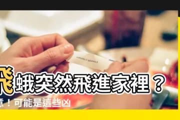 【飛蛾代表什麼】飛蛾突然飛進家裡？注意！可能是這些凶兆！