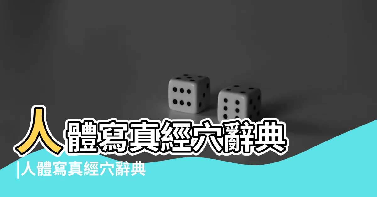 【人體寫真經穴辭典】人體寫真經穴辭典 |人體寫真經穴辭典by |