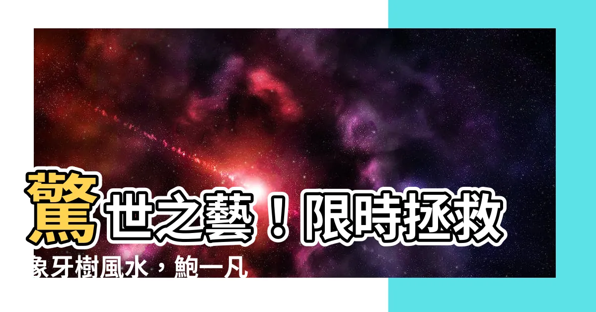 【象牙樹風水】驚世之藝！限時拯救象牙樹風水，鮑一凡師傅超凡手法揭密！