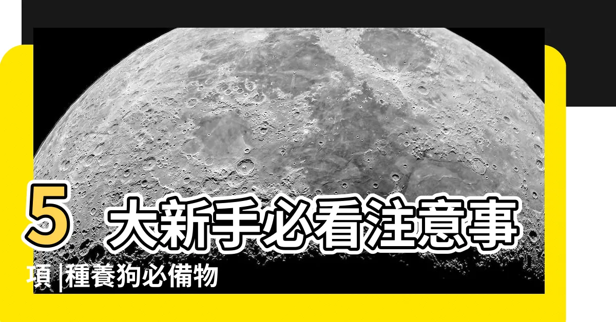 【養狗注意事項】5大新手必看注意事項 |種養狗必備物品 |照顧須知 |