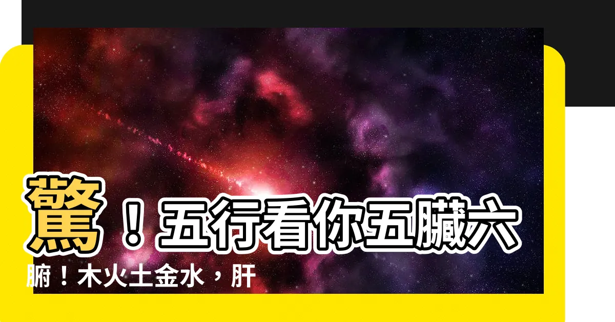 【木火土金水肝心脾肺腎】驚！五行看你五臟六腑！木火土金水，肝心脾肺腎對應大解析！