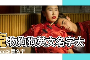 【炫舞時代情侶英文名】寵物狗狗英文名字大全 |qq炫舞名字帶英文 |炫舞情侶名字英文名字帶翻譯的 |