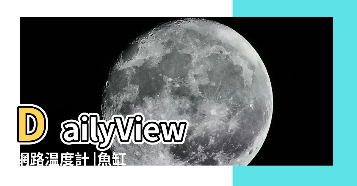 【魚缸招財法】DailyView網路温度計 |魚缸選擇與放置位置指南 |家裡物品放對位 |