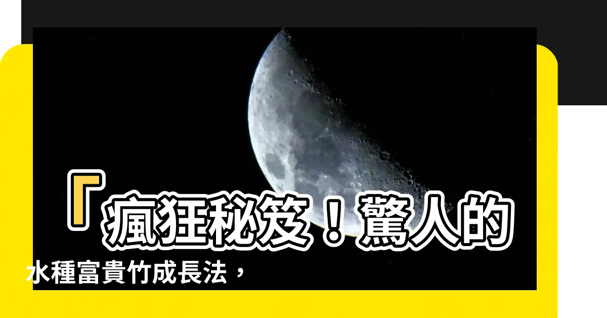 【水種富貴竹】「瘋狂秘笈！驚人的水種富貴竹成長法，1天激增100根根根！」