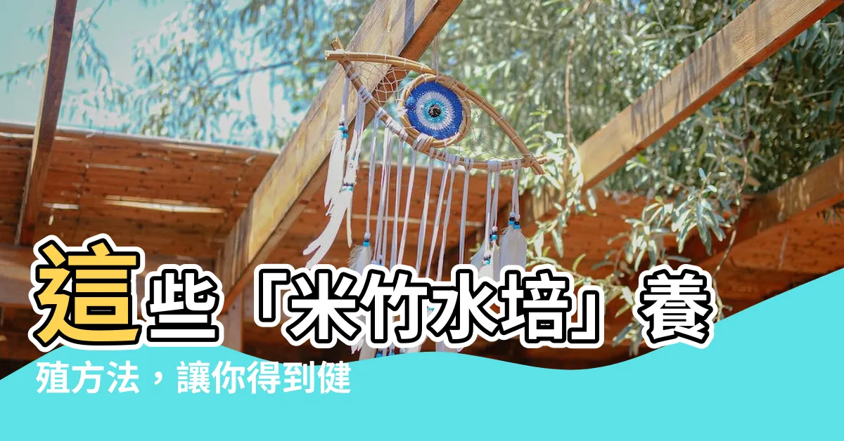 【米竹水培】這些「米竹水培」養殖方法，讓你得到健康又豐盛的米竹！