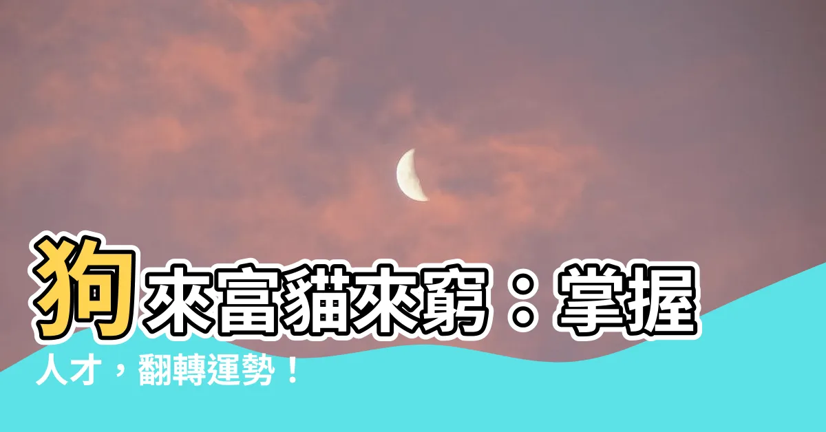 【狗來富貓來窮】狗來富貓來窮：掌握人才，翻轉運勢！